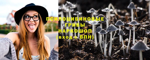 дмт Абдулино