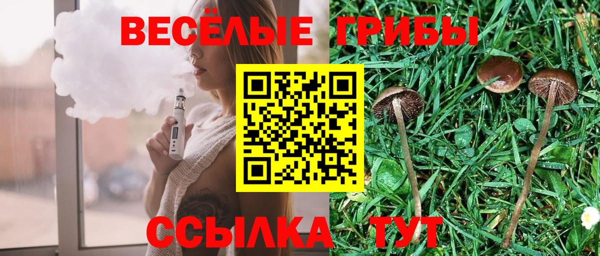 Псилоцибиновые грибы ЛСД  цены наркотик  Тулун  Вход с VPN 